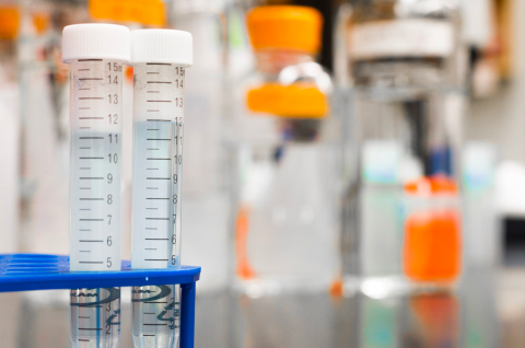 Rotational Programs: Health Care / Science