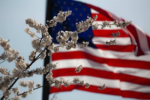 American flag flying behind flowers.
