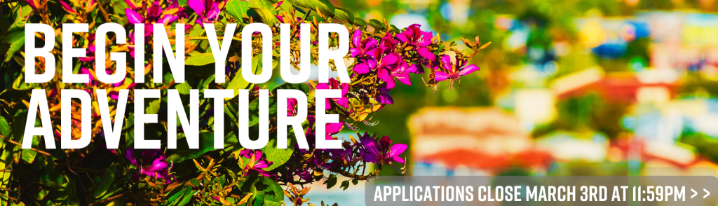 Vibrant image with colorful flowers and a city backdrop. The image reads, "Begin your adventure...applications close March 3rd at 11:59pm"