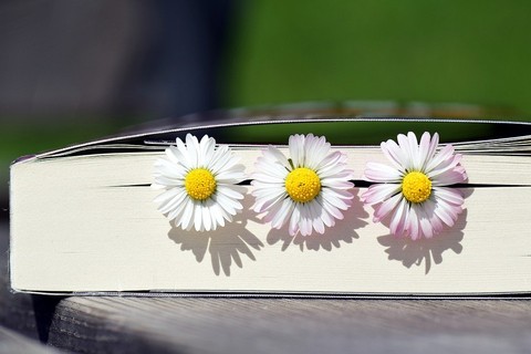 book with three daisies