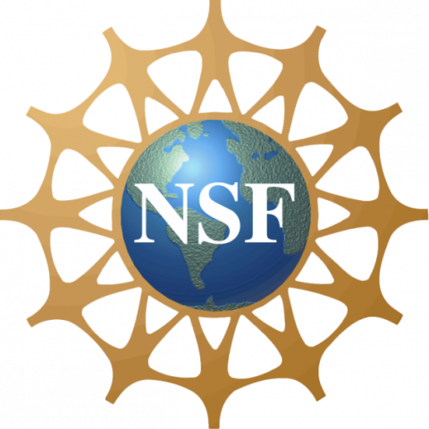 Natural Science Foundation – REU Programs