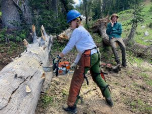 Katy, a forest ranger intern wearing a white shirt, protective leg covers, and green pants with goggles and a blue helmet uses a chainsaw to cut into a grey-brown tree trunk lying horizontal on the ground. Another staff member wearing a green sweatshirt and khakis waves at the camera behind her.