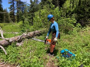 Katy, a forest ranger intern wearing a blue helmet, goggles, blue shirt, and orange protective leg coverings, holds a chainsaw and prepares to cut into a tree that has fallen across a trail covered in green foliage.