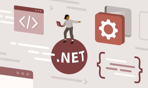 .NET Platform Explained