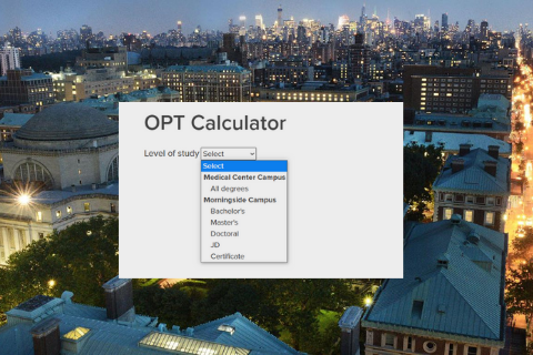 OPT Calculator