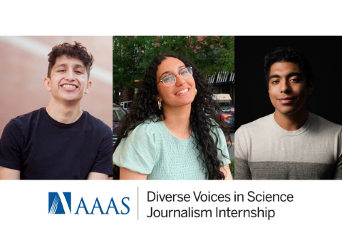 Previous interns from the program