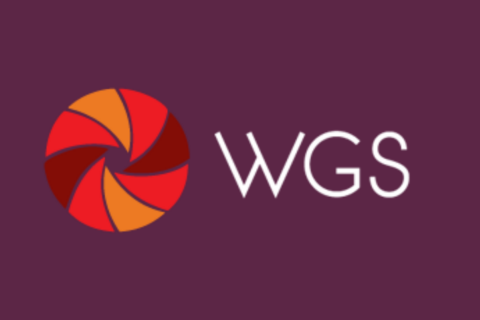 The WGS Professional Development Funds – MIT