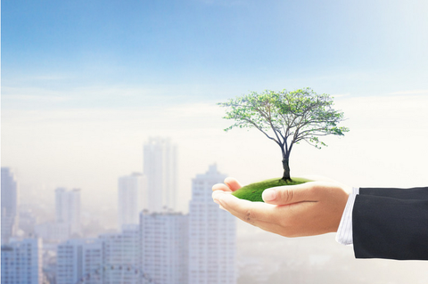 two hands cupped, holding a small tree, against the backdrop of a city skyline