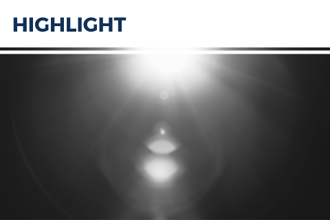 Consulting bridge programs