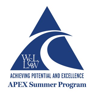 W&L Law achieving potential and excellence APEX Summer Program