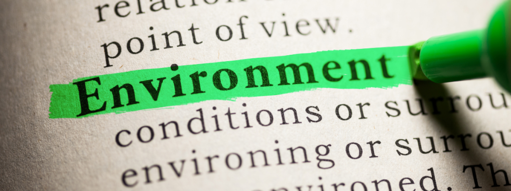 the word environment being highlighted in green