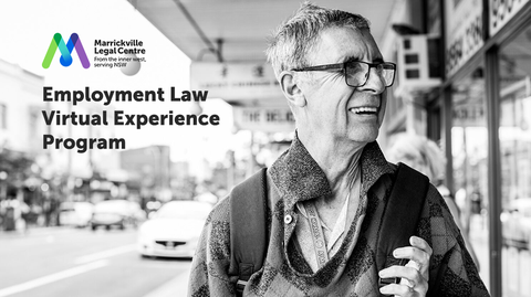 Employment Law Virtual Experience Program
