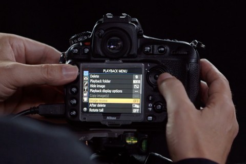Nikon D800 and D810: Tips, Tricks, & Techniques