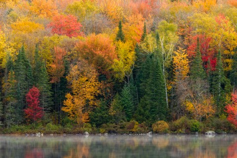 Landscape Photography: Autumn