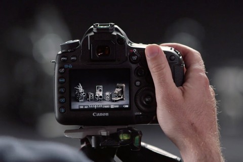 Canon Digital SLR: Tips, Tricks, & Techniques