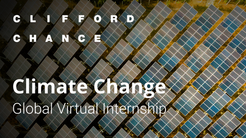Climate Change Global Virtual Internship