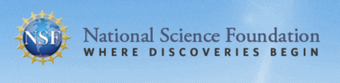 NSF Research Experiences for Undergraduates (REU)