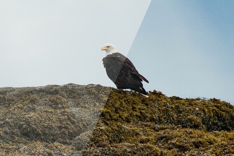 Lightroom Quick Tips