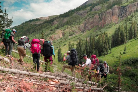 Grit: How Teams Persevere to Accomplish Great Goals