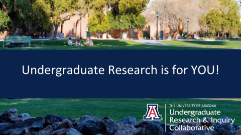 Why Research and overview of Credit Based Undergraduate Research Courses