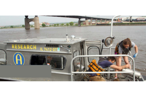 Research Experiences for Undergraduate Students (REUs)