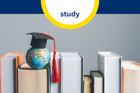 Gap Year Option: Study