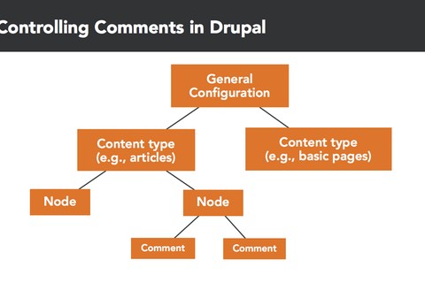 Drupal 8 Essential Training: 2 Building Out Your Website