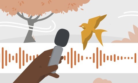 Learning Sound Design for Video Production