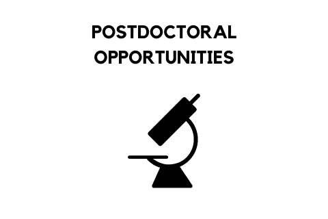 Postdoctoral Opportunities