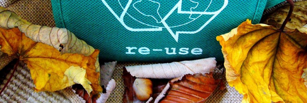 Green bag that reads "re-use" sitting on leaves.