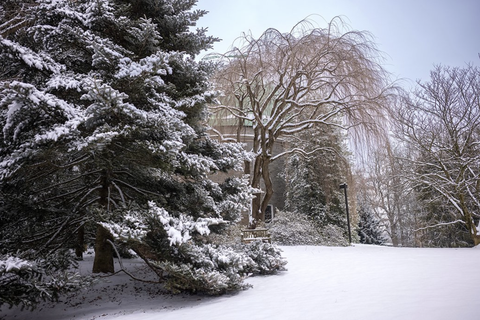 snow covered picture of Swarthmore college grounds with trees.