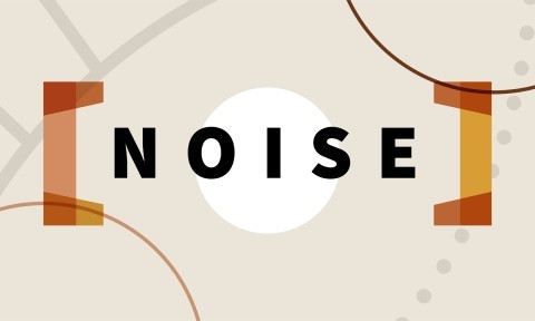 Noise (Blinkist Summary)