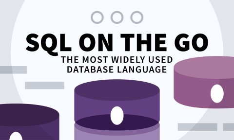 Understand SQL: Explore the Power and Versatility of the SQL Database Language