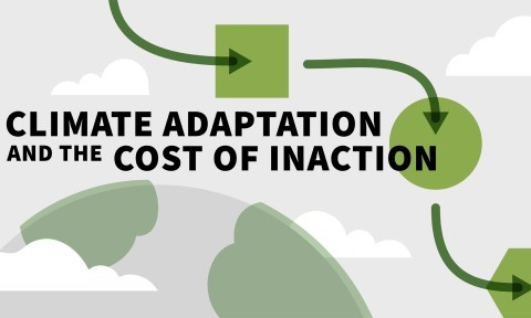 Climate Adaptation and the Cost of Inaction
