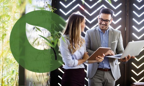 Green Jobs for Sustainable Careers – Career Development Yale