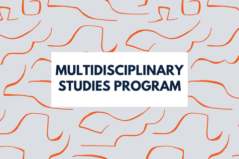 Multidisciplinary Studies Program