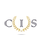 City Investment Solutions Ltd logo