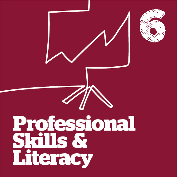 6. Professional Skills & Literacy 
