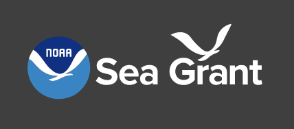 2025 Sea Grant Knauss Fellowship Application Webinar