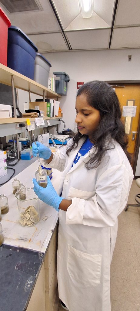 Savitha applying her technical skills to real‑world projects, bridging research and industry through experiential learning.
