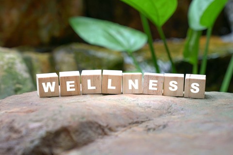 Photo block spelling out Wellness