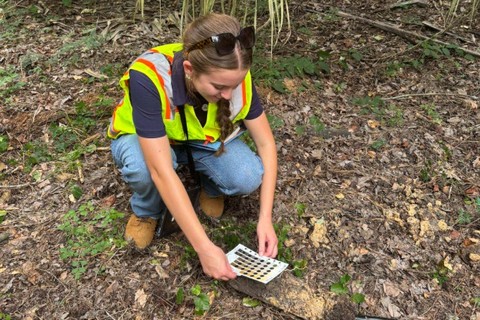 Sidney, a UF student, is participating in her internship.