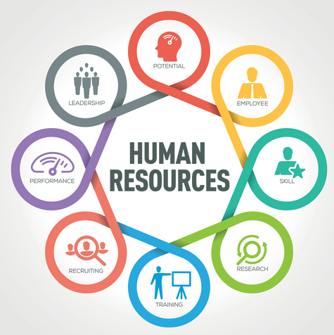 A Quick Guide to Human Resources Key Terms and Definitions – Career &  Internship Center | University of Washington