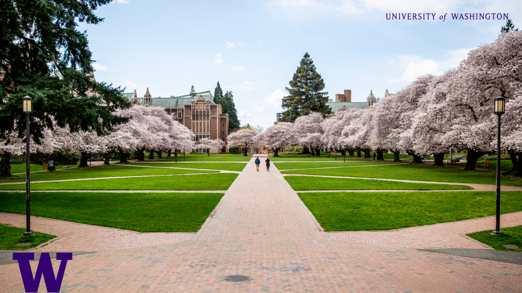 Virtual Background Option: Image of the UW Seattle Quad in springtime with "University of Washington" in the top right corner and the purple W in the lower left corner
