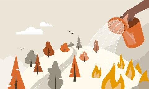 34 Things to Know about Carbon and Climate