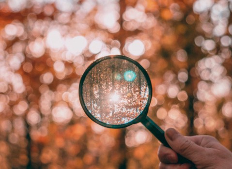 Career Scavenger Hunt