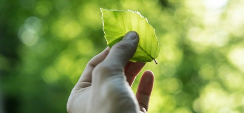 Sustainable Business: Everything You Need To Know