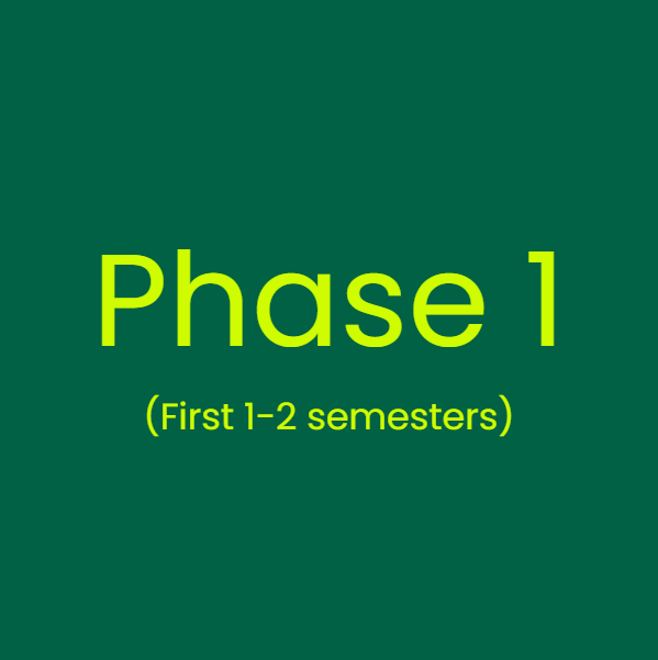 Phase 1 (First 1-2 Semesters)
