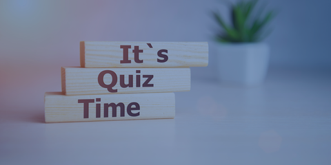 Unleash Your Inner Professional Quiz
