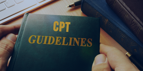 Curricular Practical Training Guidelines for International Students